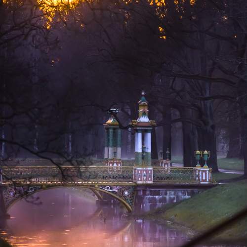 Photo #9172594