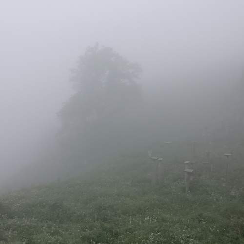 Photo #9172626