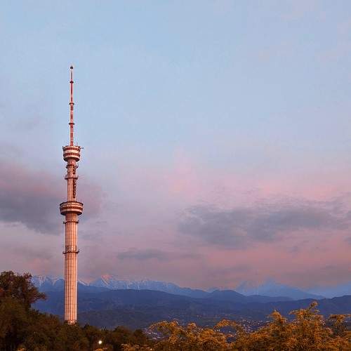 Photo #9172629