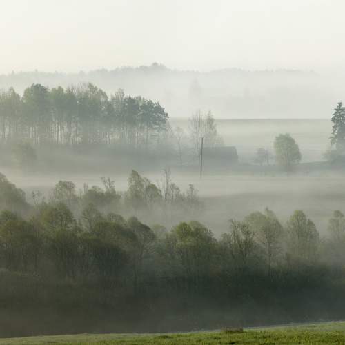 Photo #9173000