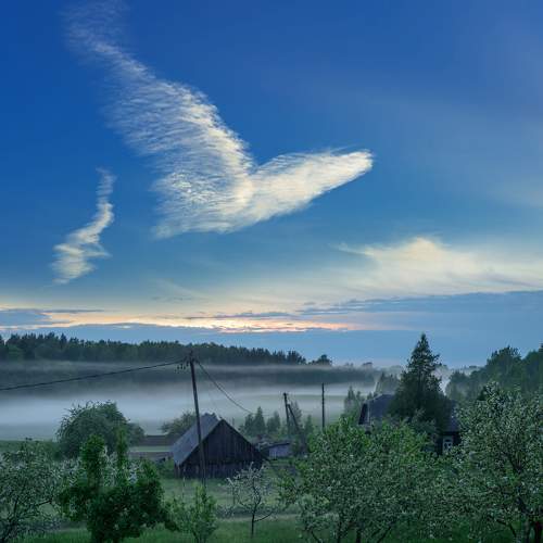 Photo #9173014