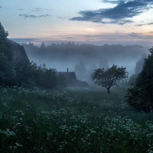Photo #9173026
