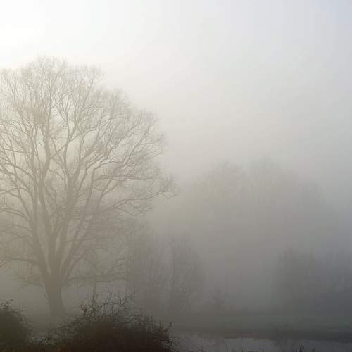 foggy river view