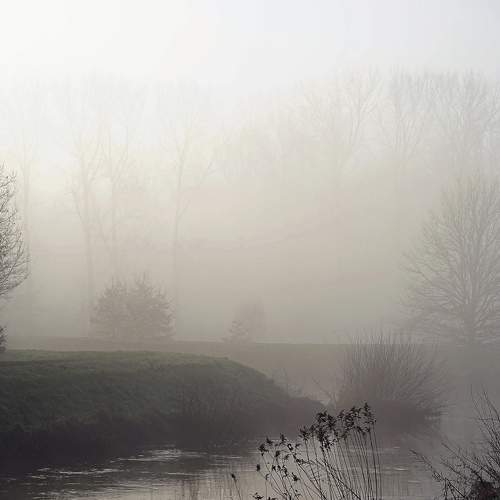 early morning fog