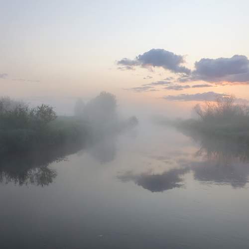 Photo #9173173