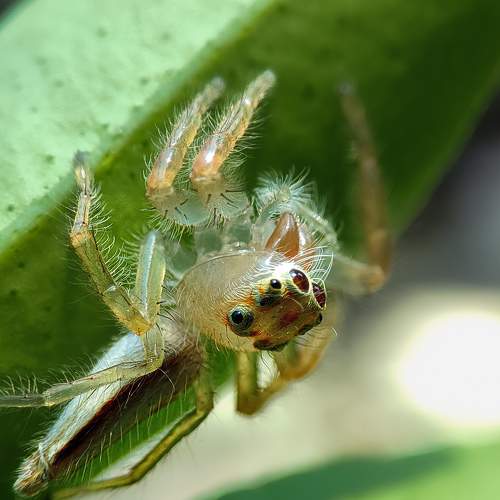 Photo #9173191