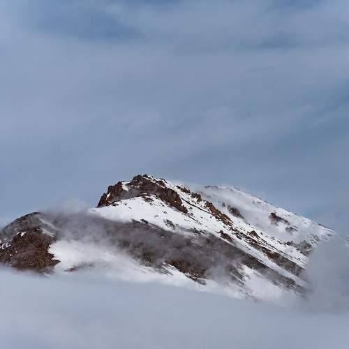 Photo #9173267