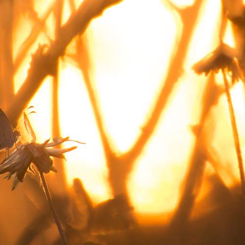 Photo #9173287