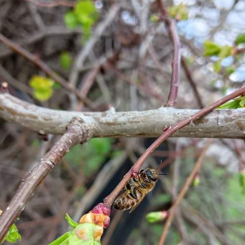 Photo #9173731