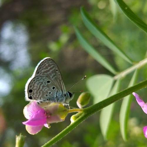Photo #9173740