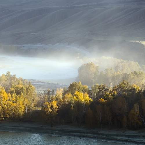 Photo #9173751