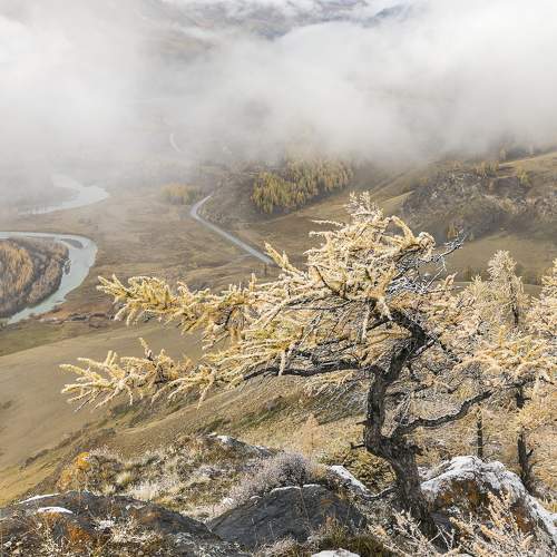 Photo #9173756