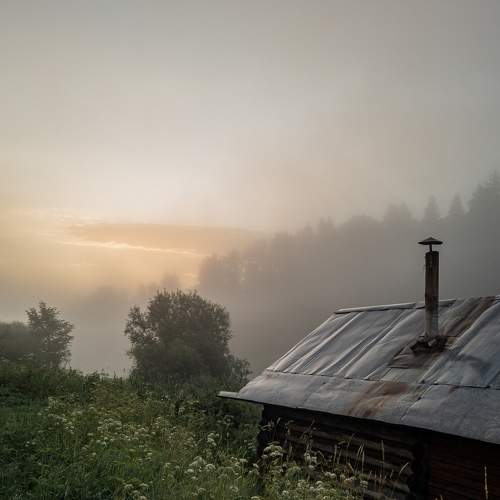 Photo #9173816
