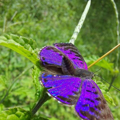 Photo #9173824