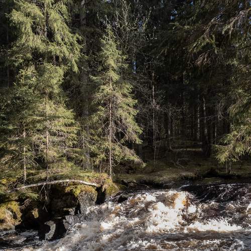 Photo #9173829