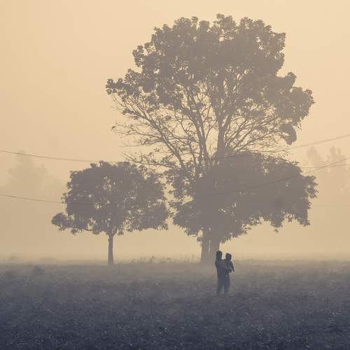 Mother on The Mist