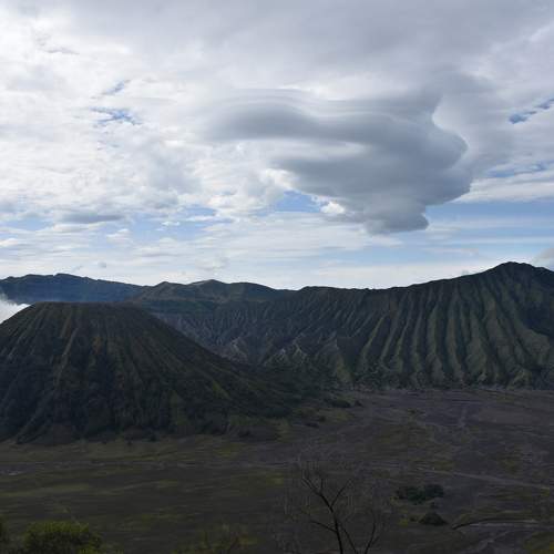 Photo #9174042