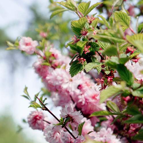 Photo #9174160