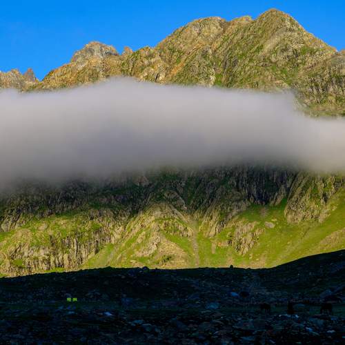Photo #9174333