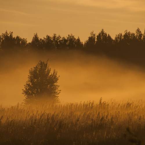 Photo #9174538