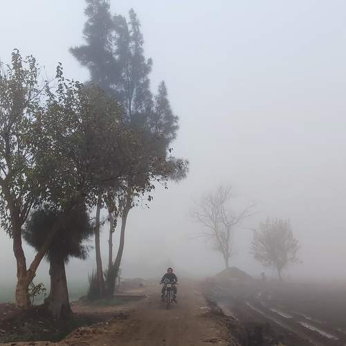 Photo #9174560