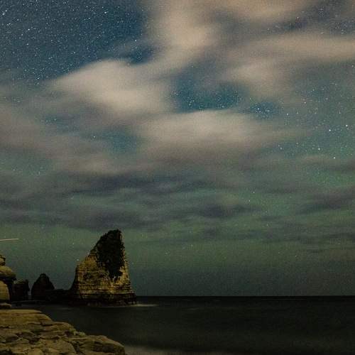 Photo #9175047