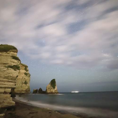 Photo #9175048