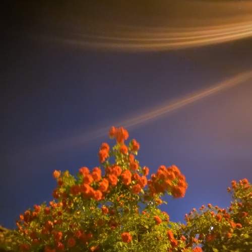 Photo #9175781