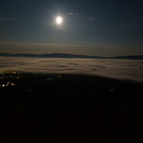 Photo #9176666