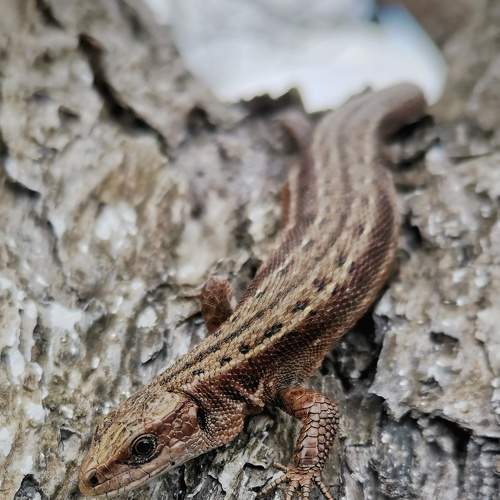 Photo #9176990