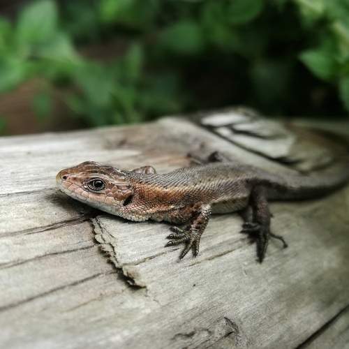 Photo #9177222