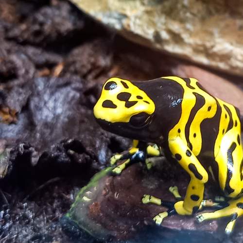 Photo #9177317