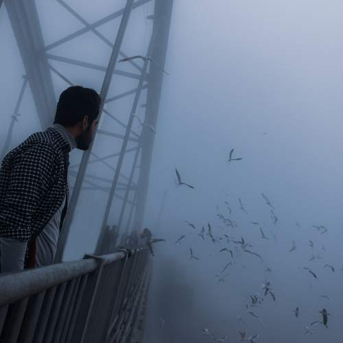 Photo #9177484