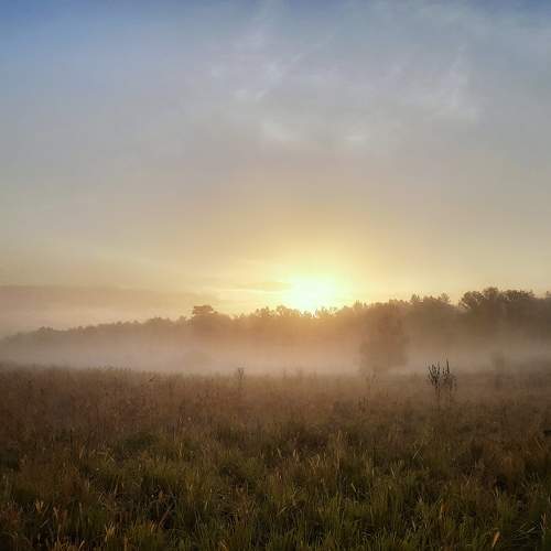 Photo #9177701