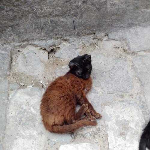 Photo #9177951