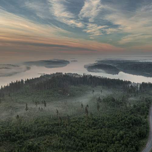 Photo #9178083