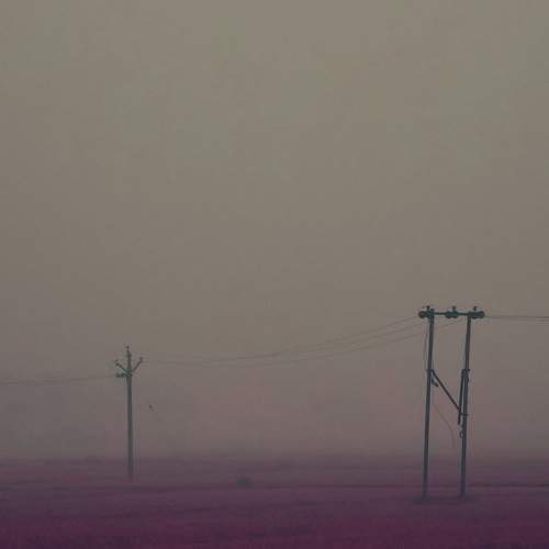 A Fog Morning