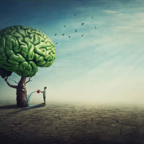 Brain Tree