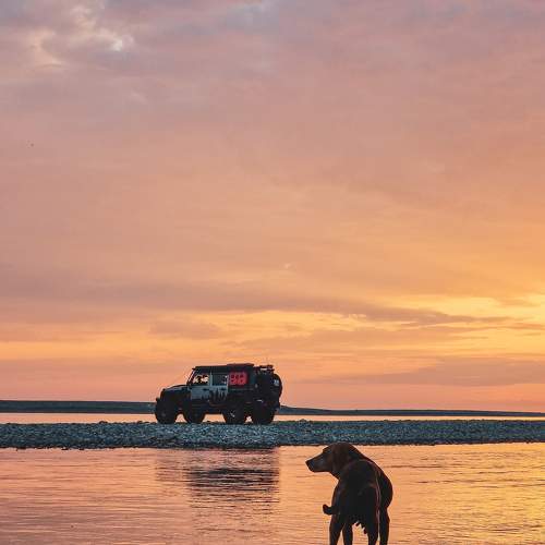 Photo #9178988