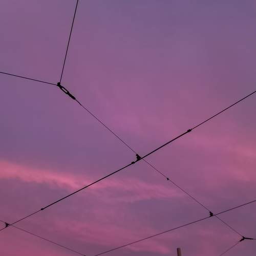 Photo #9179031