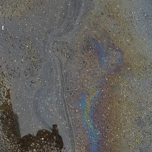 Photo #9179033