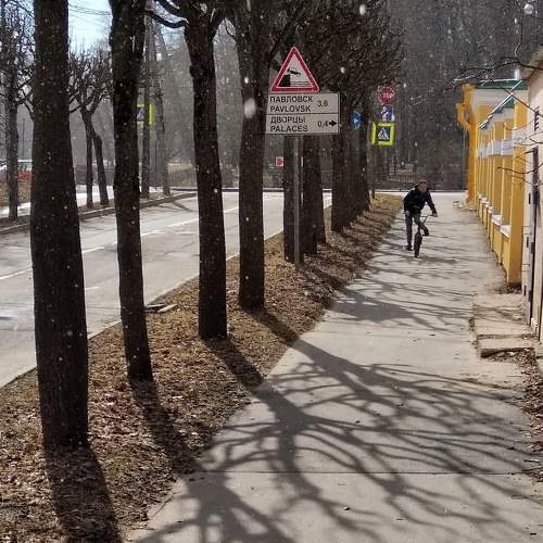 Photo #9179150