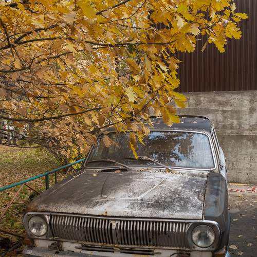 Photo #9179305