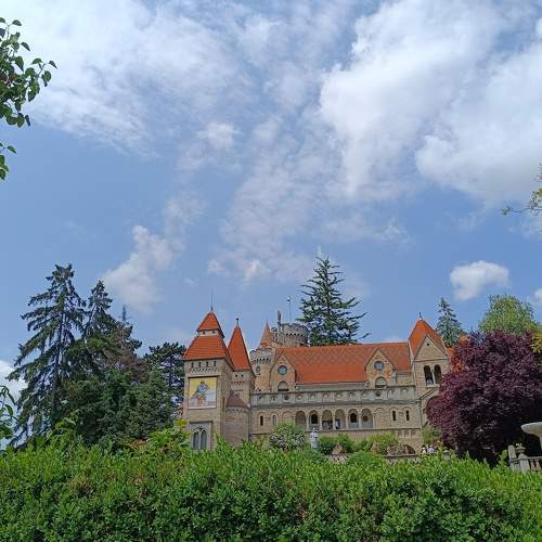 Photo #9179567