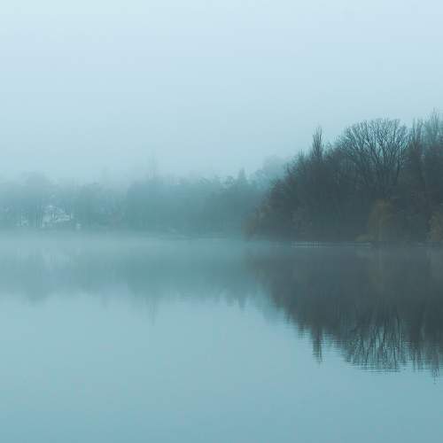 Photo #9179785