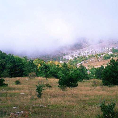 Photo #9180177