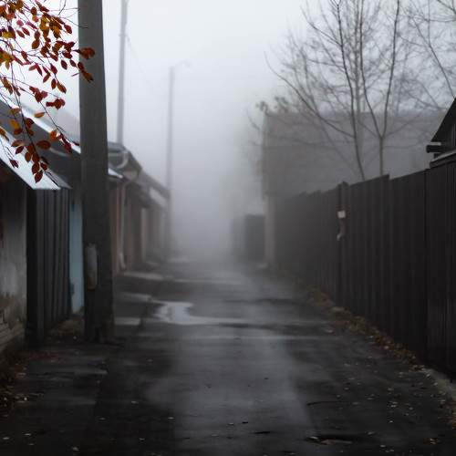 Photo #9180368