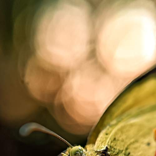Photo #9180699