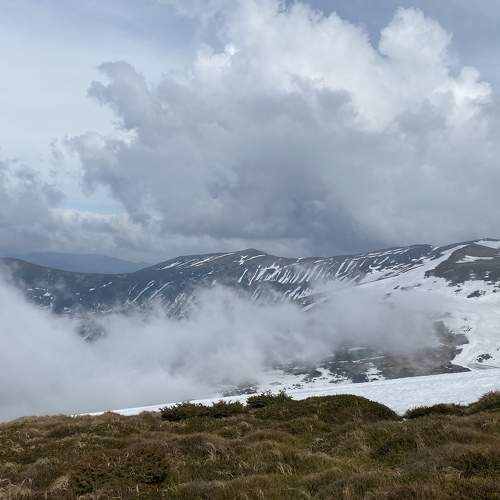 Photo #9180727