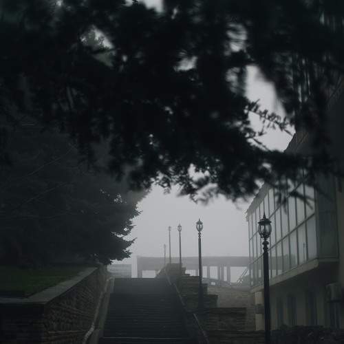 Photo #9180955